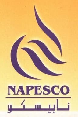 National Petroleum Services logo